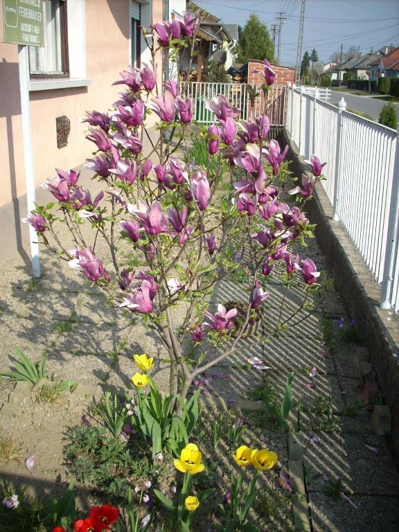 Bundics Vendégházak Lenti Exterior foto
